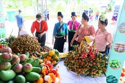 Doanh nghiệp: Chủ lực kiến tạo thị trường cho nông sản vùng cao