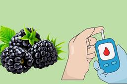 Bất ngờ công dụng kiểm soát đường huyết của quả mâm xôi đen
