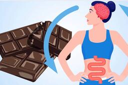 Lợi ích của sôcôla đen đối với sức khỏe đường ruột và não bộ