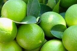 Cách đào thải axit uric vào mùa lạnh