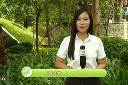 Không gian xanh - “lá phổi” của đô thị