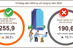 Doanh nghiệp thành lập mới tăng gần 20%, vốn bổ sung vào nền kinh tế tăng vọt 98%