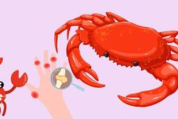 Cách ăn cua an toàn cho người axit uric cao