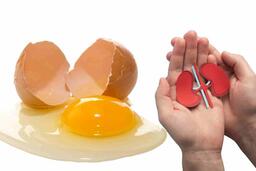 Cách phục hồi chức năng thận từ lòng trắng trứng