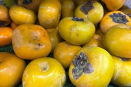 Thải độc cơ thể hiệu quả bằng 6 lời khuyên dễ thực hiện hằng ngày