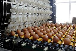 Sau 1 thập kỷ làm nông, Nông nghiệp Hòa Phát được định giá gần 11.000 tỷ đồng