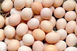 Giảm cân: Nên ăn lòng trắng hay lòng đỏ trứng?