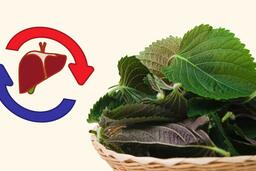 3 món ngon với tía tô giúp tăng chức năng gan thận