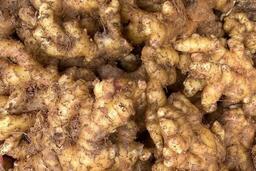 Người bị huyết áp cao cần cẩn trọng khi dùng gừng