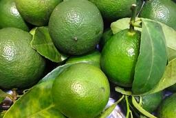 Sử dụng quả chanh an toàn và hiệu quả cho sức khỏe