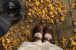 Ngỡ ngàng cây ngân hạnh thay áo vàng rực giữa lòng Sa Pa