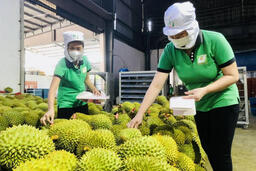 Xuất khẩu sang Trung Quốc: Bứt tốc từ lợi thế