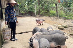 Mỗi sản phẩm OCOP là một "đại sứ" vùng miền