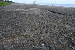 Đê biển xuống cấp, bờ sông sạt lở, Đồng Tháp đề xuất hơn 1.100 tỉ đồng khắc phục