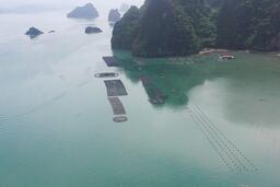 Doanh nghiệp, HTX Quảng Ninh gặp khó vì thủ tục giao biển