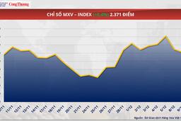 Giá ngô thế giới rơi khỏi ngưỡng 175 USD/tấn