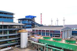 Hai ‘ông lớn’ ngoại xây nhà máy ép dầu đậu nành quy mô hàng đầu Đông Nam Á tại TP HCM