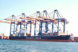 Lãnh đạo HAH: Việc tăng quy mô đội tàu là bắt buộc, tiếp tục mua tàu mới trong năm tới