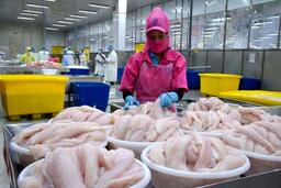 Chuẩn bị sớm để vượt chuẩn C/O, tận dụng tốt FTA mới