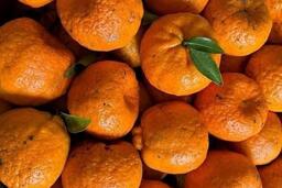 Loại trái cây hỗ trợ giải rượu, bia