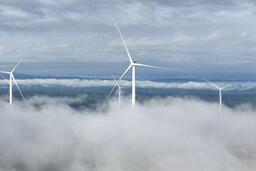 Nhà máy điện gió Savan 1 của Bầu Hiển tại Lào chính thức vận hành thương mại