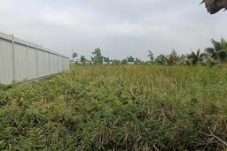 Làm rõ việc hộ dân lấp mương, chắn đường vào khu sản xuất ở Hải Phòng