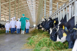 Thị trường nội địa quyết định sức bật của ngành chăn nuôi