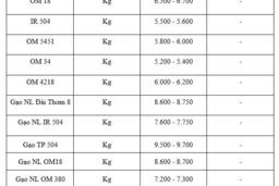 Giá lúa gạo hôm nay ngày 11/1 và tuần qua: Gạo biến động trái chiều