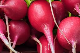 Thải độc gan tự nhiên bằng củ cải đường theo cách chế biến đúng