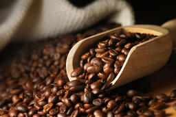 Giá cà phê chịu sức ép dư cung, xuất khẩu dự báo đạt 8,5 tỷ USD năm 2026
