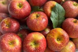 Loại trái cây nên ăn trước khi tập gym