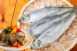 Omega-3 vẫn thiếu dù ăn cá thường xuyên