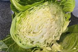 Rau bắp cải tốt cho người lao động làm việc nặng nhọc trong mùa đông