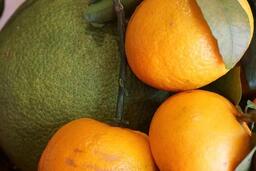 Trái cây trẻ em nên ăn nhiều để tăng sức đề kháng mùa lạnh