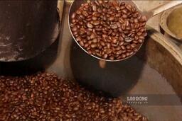 Cà phê rang và khả năng kiểm soát đường huyết