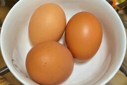 Có thật sự cần bổ sung protein trong mỗi bữa ăn