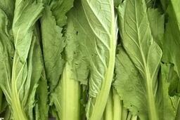 Cải bẹ xanh tốt cho thị lực: Người lao động ngành nào nên tận dụng?