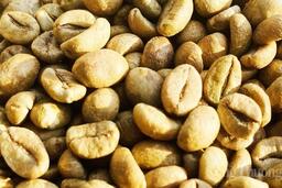 Giá cà phê thế giới lao dốc mạnh trước áp lực nguồn cung từ Brazil