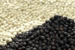 Xung đột Trung Đông: Doanh nghiệp xuất khẩu nông sản chủ động ứng phó