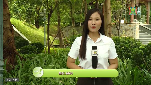 Không gian xanh - “lá phổi” của đô thị