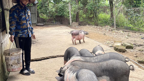 Mỗi sản phẩm OCOP là một "đại sứ" vùng miền