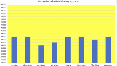 Giá heo hơi hôm nay 26/3: Đi ngang, cao nhất đạt 69.000 đồng/kg