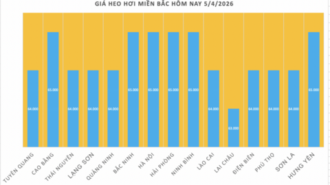 Giá heo hơi hôm nay 5/4/2026: Giữ đà ổn định