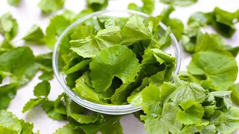 Gan khỏe hơn nhờ loại rau này