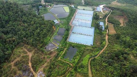 Trại lợn hơn 3.000 con ở đầu nguồn suối, người dân lo ô nhiễm