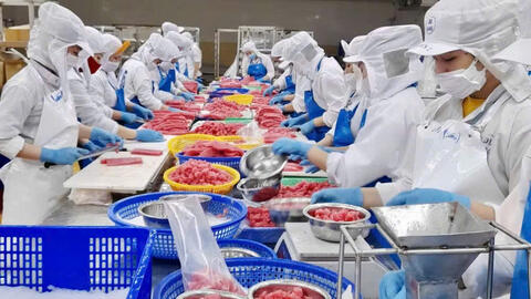 Kinh tế tư nhân bứt phá, Gia Lai phấn đấu thành lập 7.000 doanh nghiệp mới