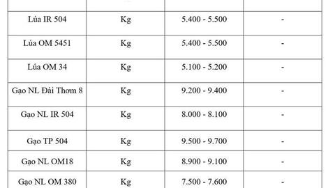 Giá lúa gạo hôm nay ngày 5/4, tuần qua: Tấm thơm giảm nhẹ