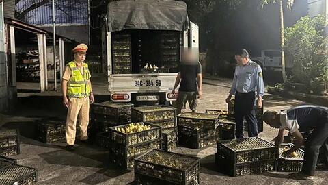 Xác minh, xử lý vụ vận chuyển hơn 13.000 con gà, vịt giống tại Quảng Ninh