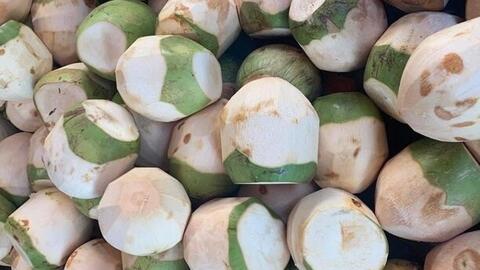 Tác dụng của uống nước dừa vào buổi sáng đúng cách