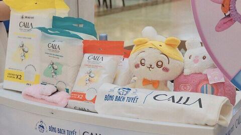 Thương hiệu quốc dân Bông Bạch Tuyết trở lại sau thập kỷ bĩ cực và tham vọng lãi kỷ lục